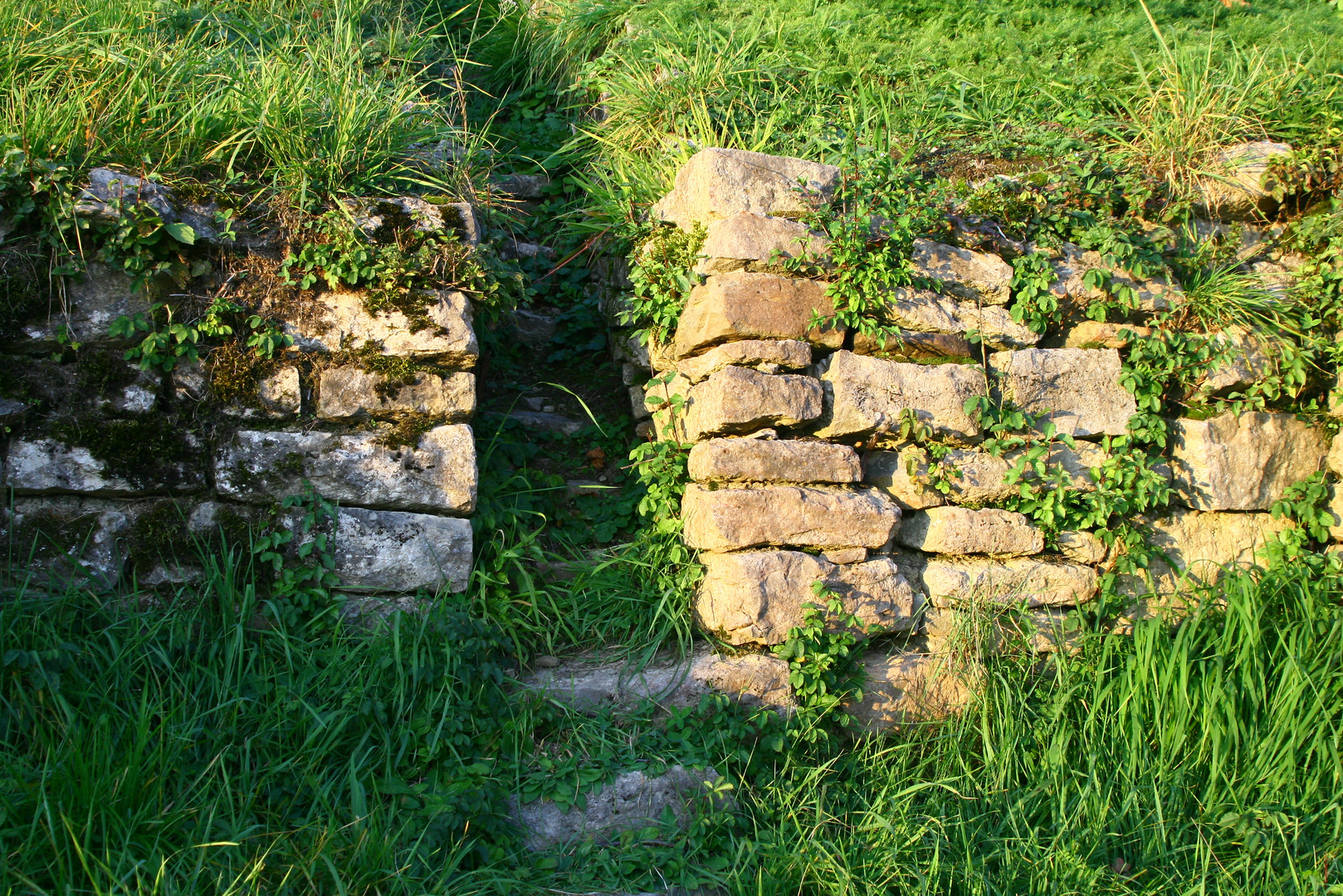 Weinbergsteige