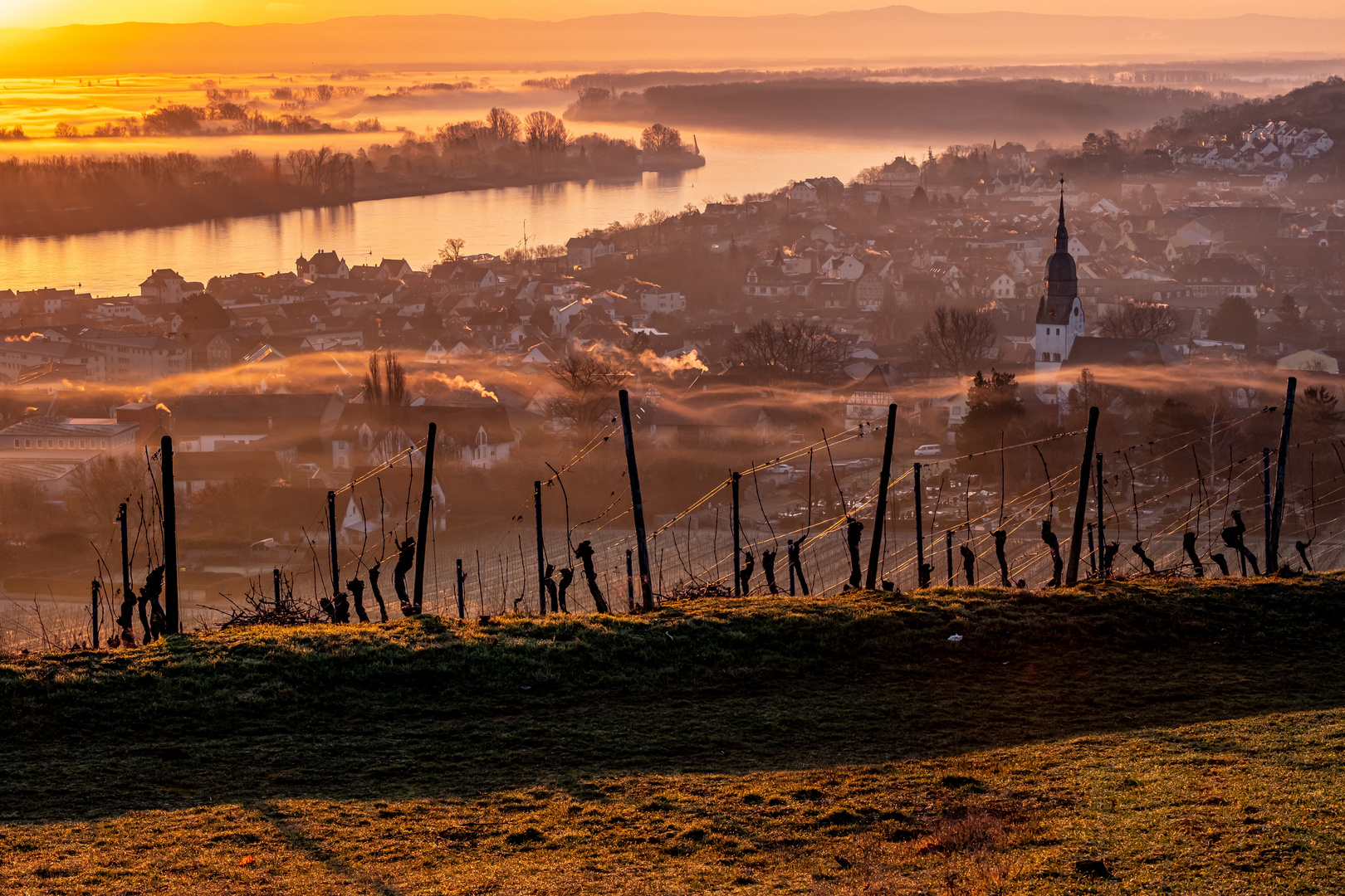 Weinbergstimmung