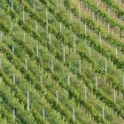 Weinbergstrukturen