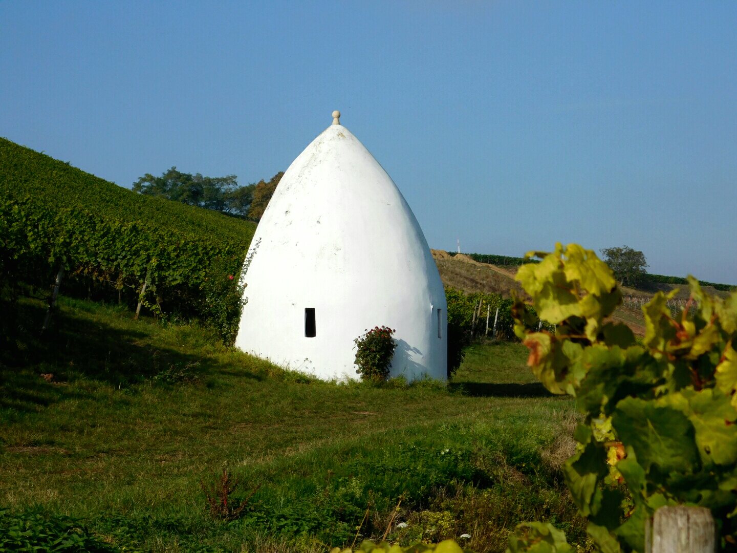 Weinbergstrullo