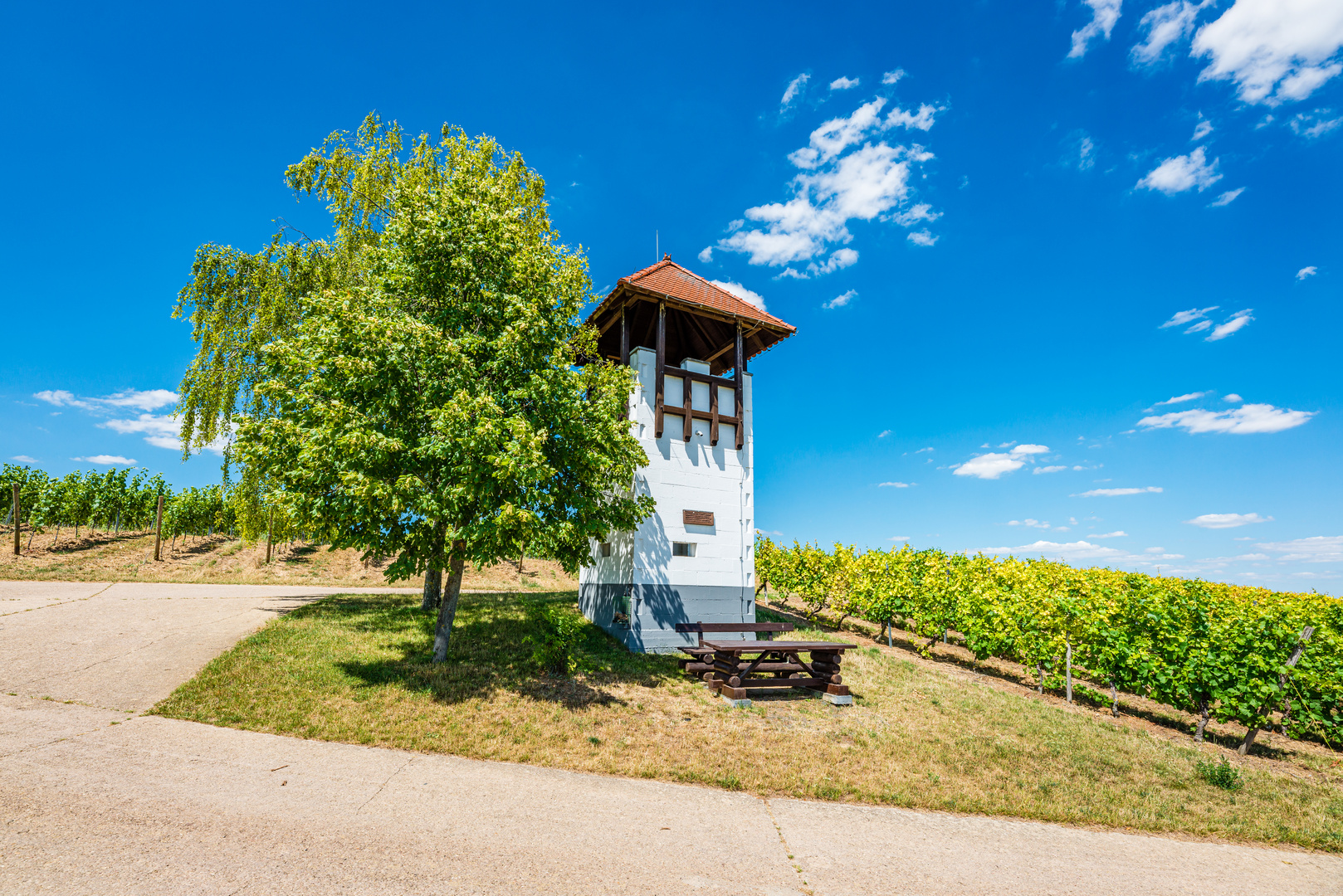 Weinbergsturm Rheinhessen 90