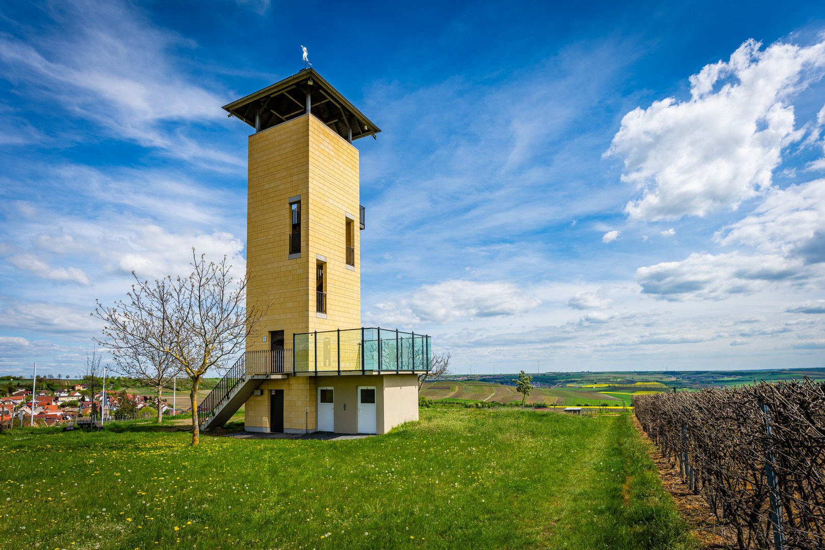 Weinbergsturm Vendersheim 19