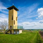 Weinbergsturm Vendersheim 19