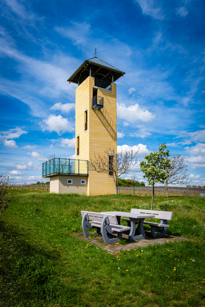 Weinbergsturm Vendersheim  27