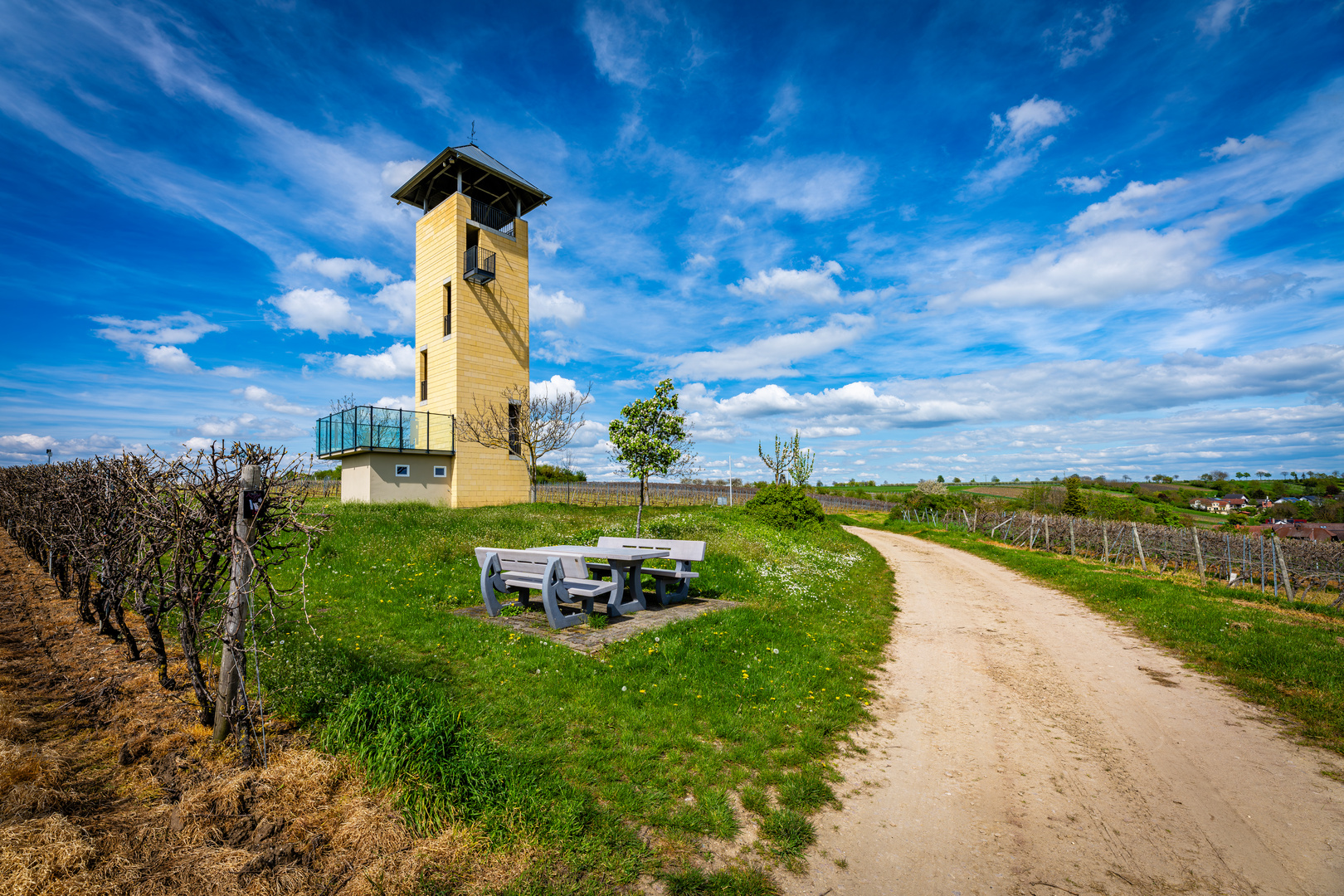 Weinbergsturm Vendersheim 29