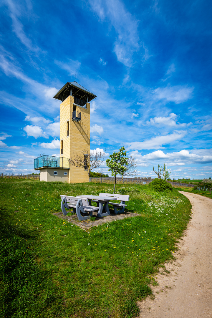 Weinbergsturm Vendersheim 32