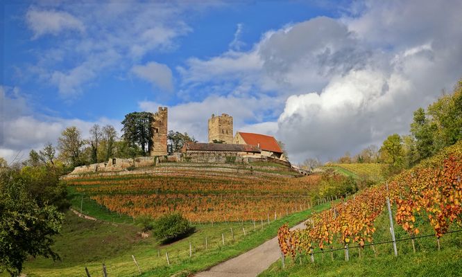 Weinbergswanderung ...