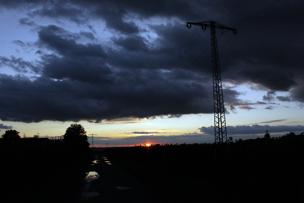 Weinbergswanderung