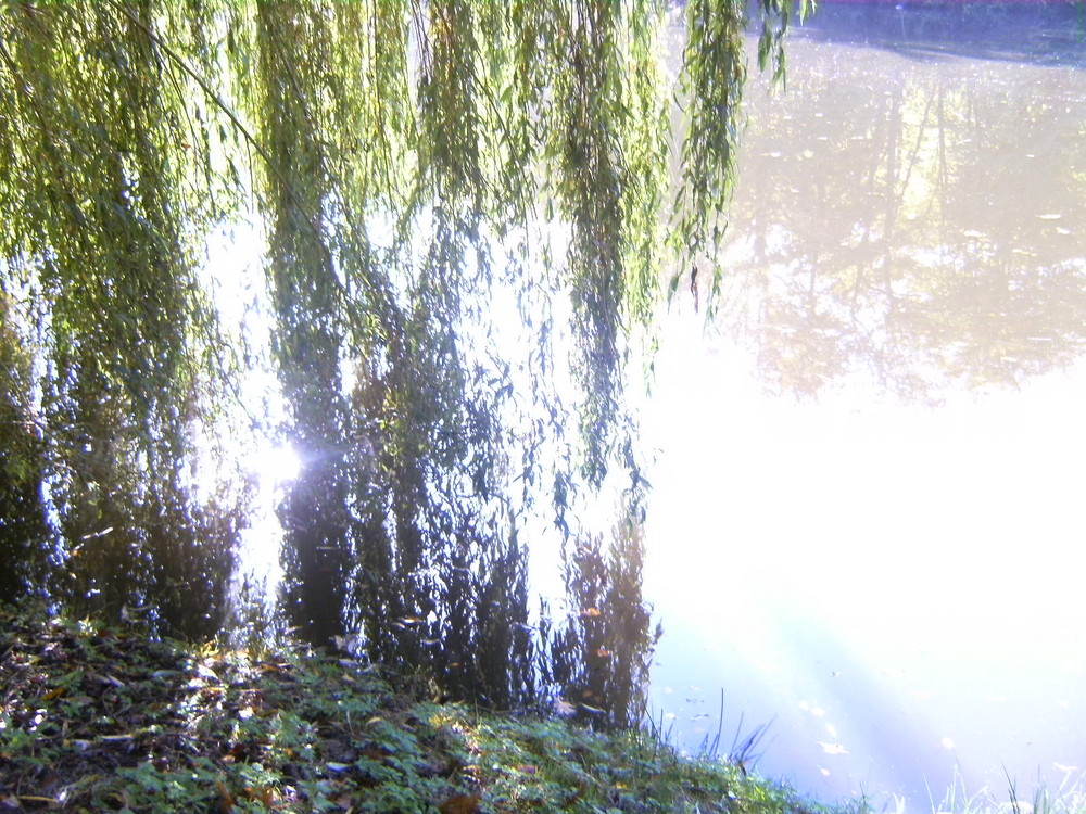 Weinbergteich