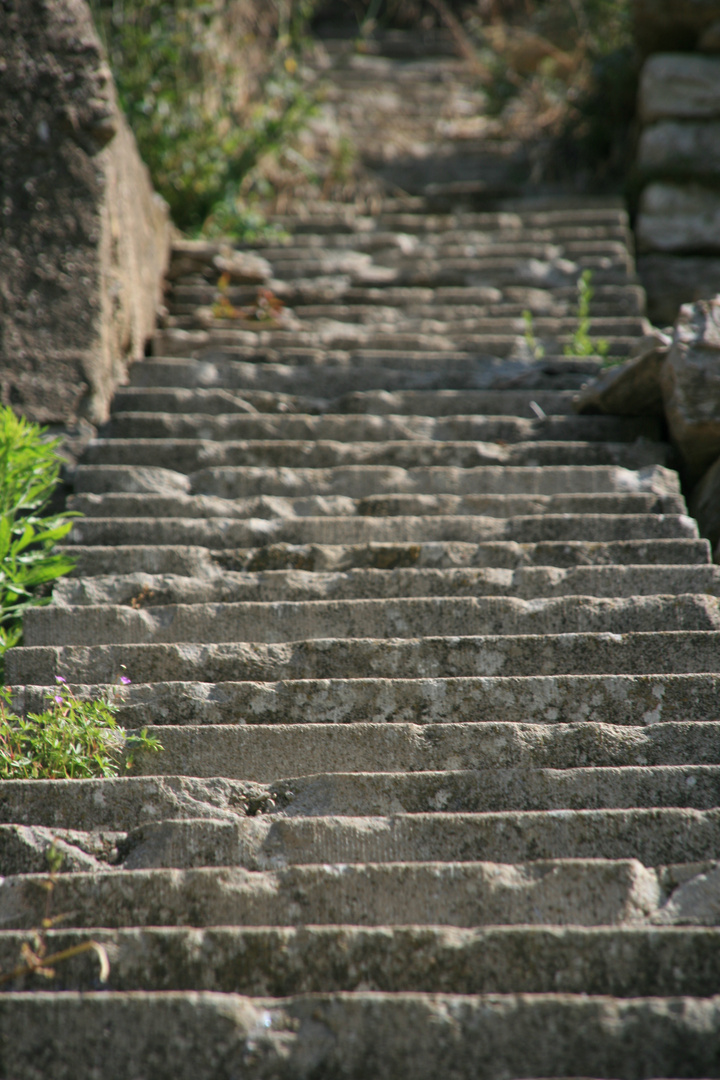 Weinbergtreppe