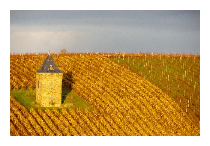 Weinbergturm