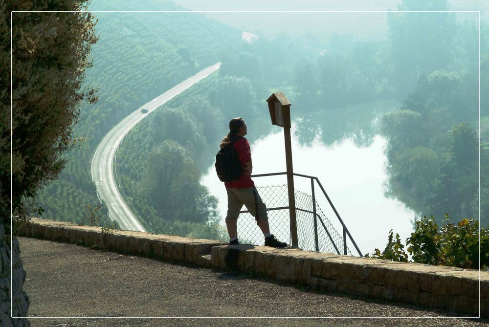 Weinbergwanderer am Neckar