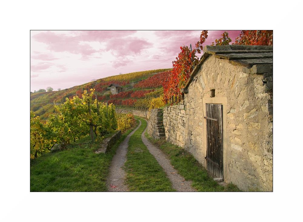 +++weinbergweg+++