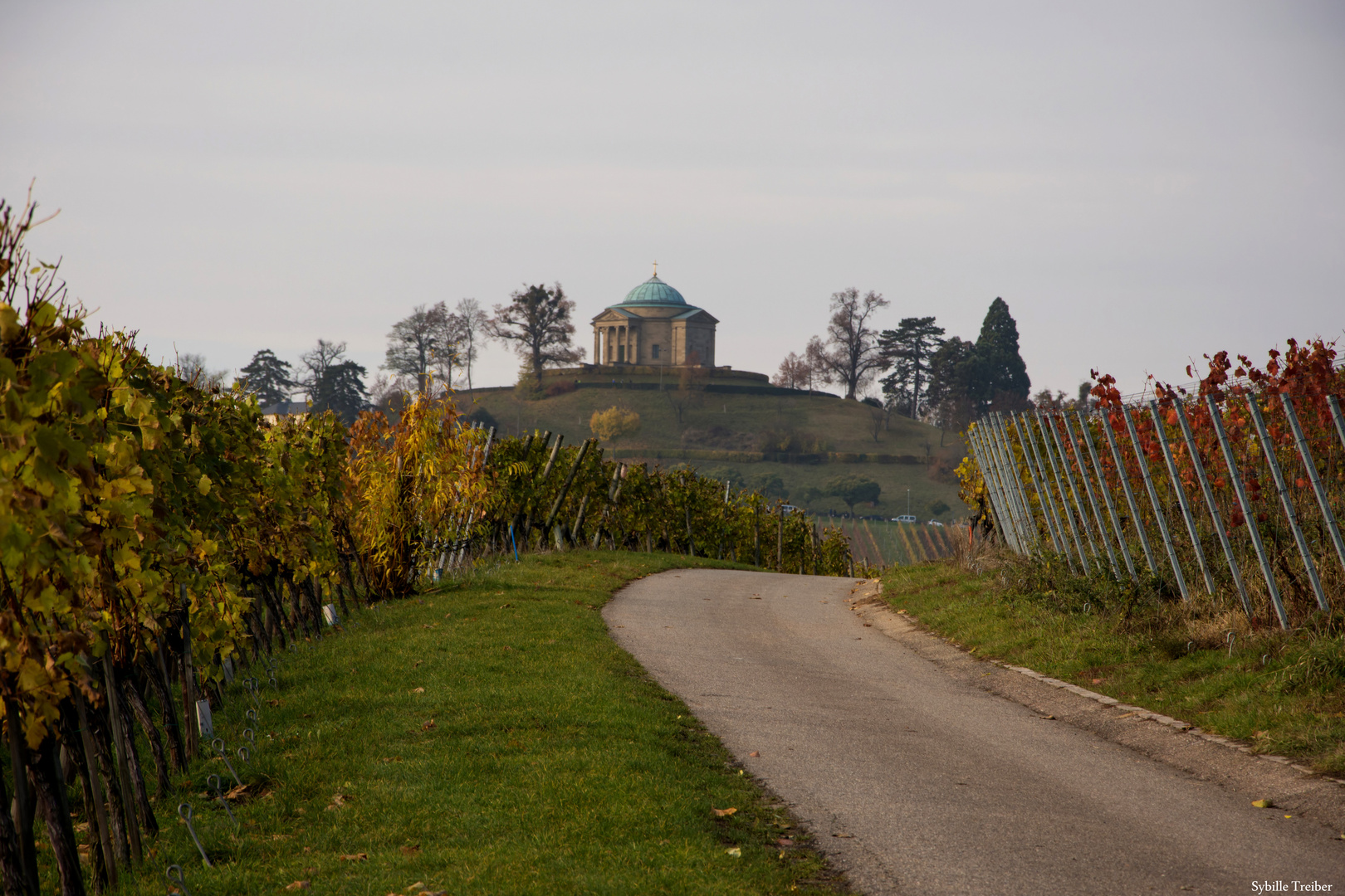 Weinbergweg