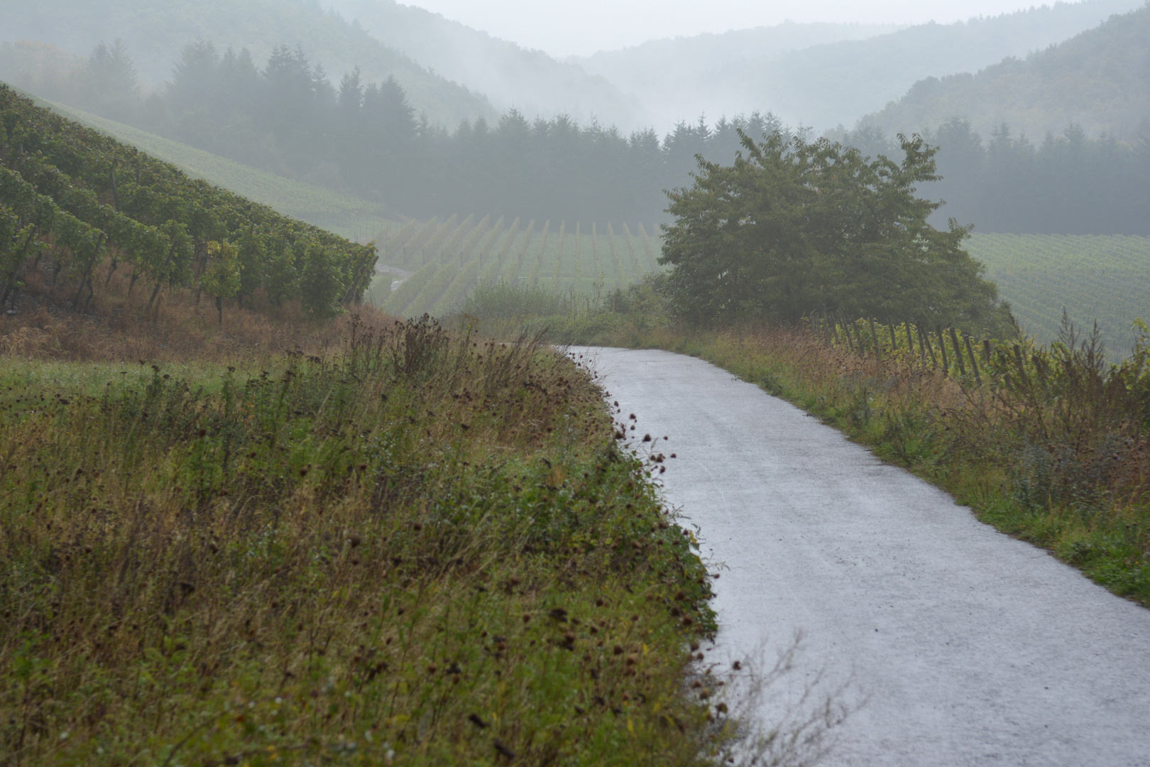 Weinbergweg#1