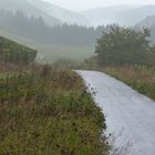 Weinbergweg#1