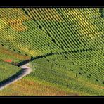 Weinbergwege