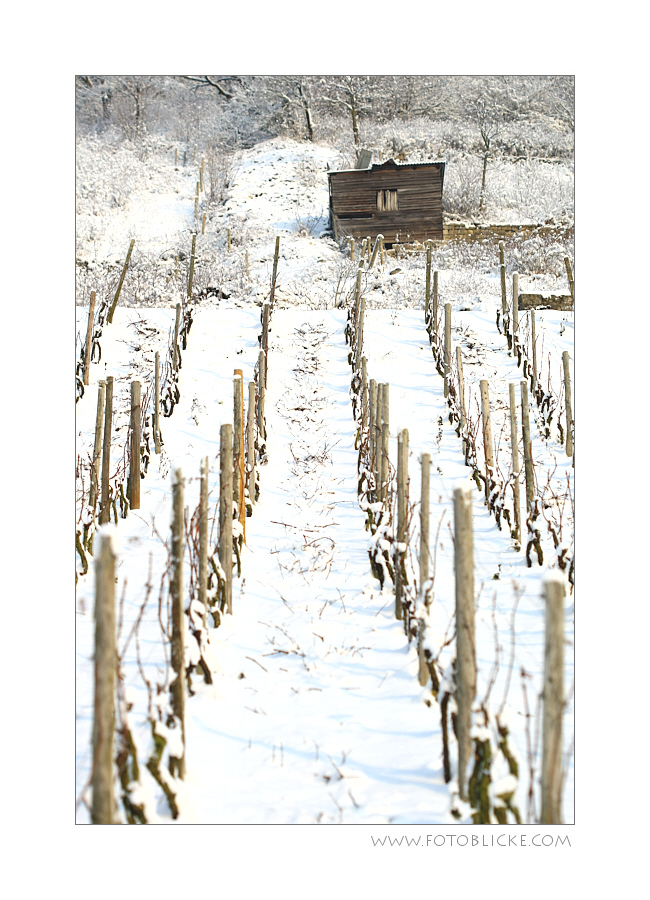 WeinbergWeiß