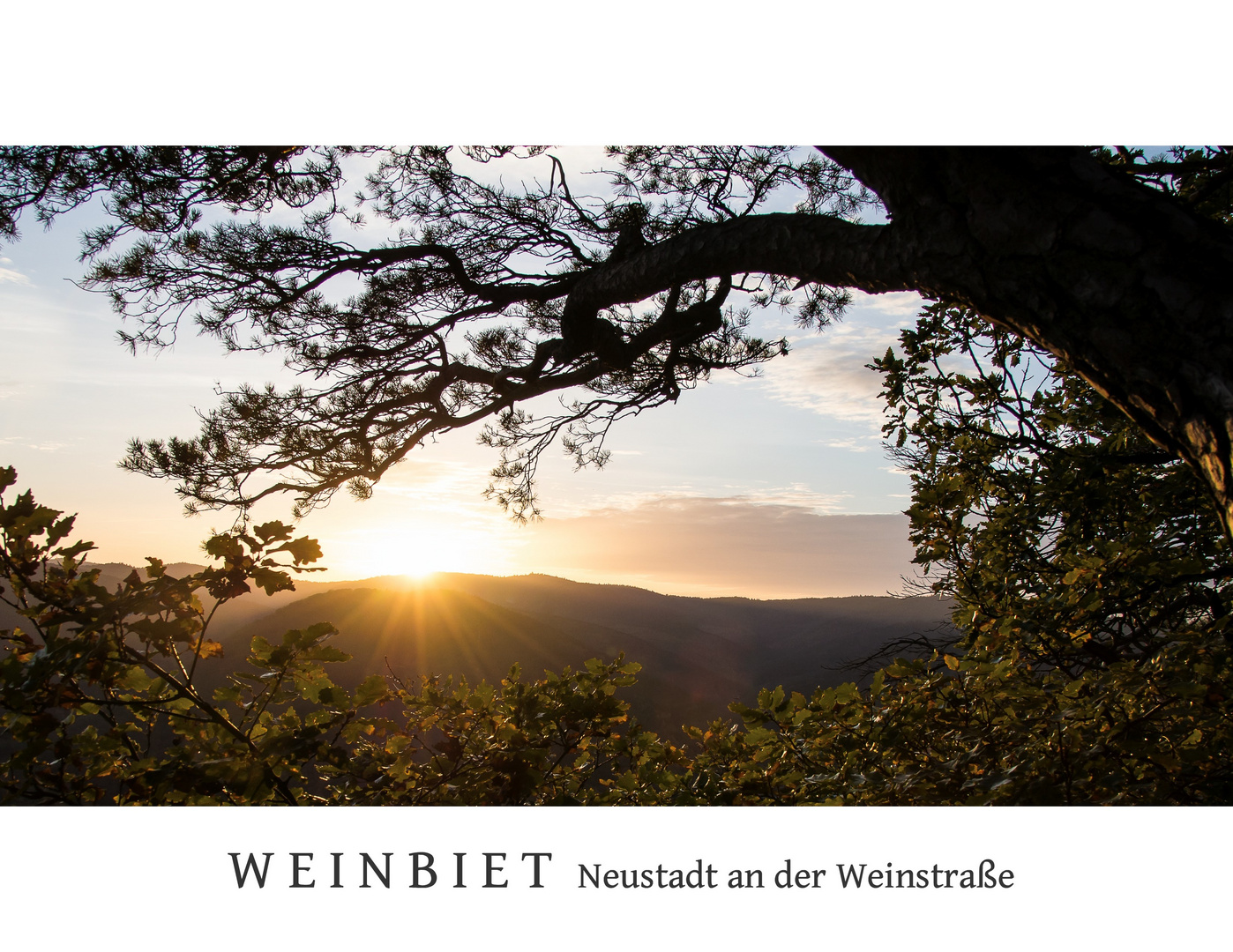 Weinbiet