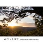 Weinbiet