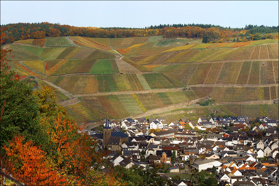 ~ Weindorf Dernau ~