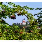 Weindorf in der Südoststeiermark 