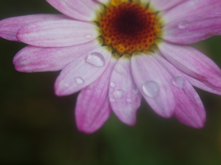 Weine im Regen. ..denn sieht man.. .die Tränen nicht. .