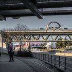 Weinende Brücke - Prof. Wander Bertoni