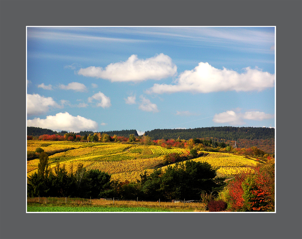 Weinfarben im Oktober