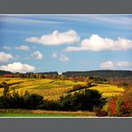 Weinfarben im Oktober