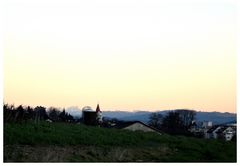 Weinfelden mit Österreicher Alpen