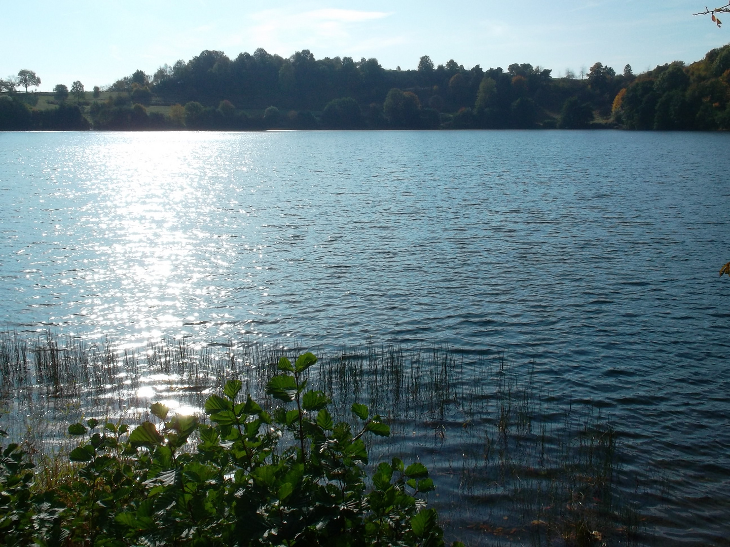 Weinfelder Maar - sonnenspiegel