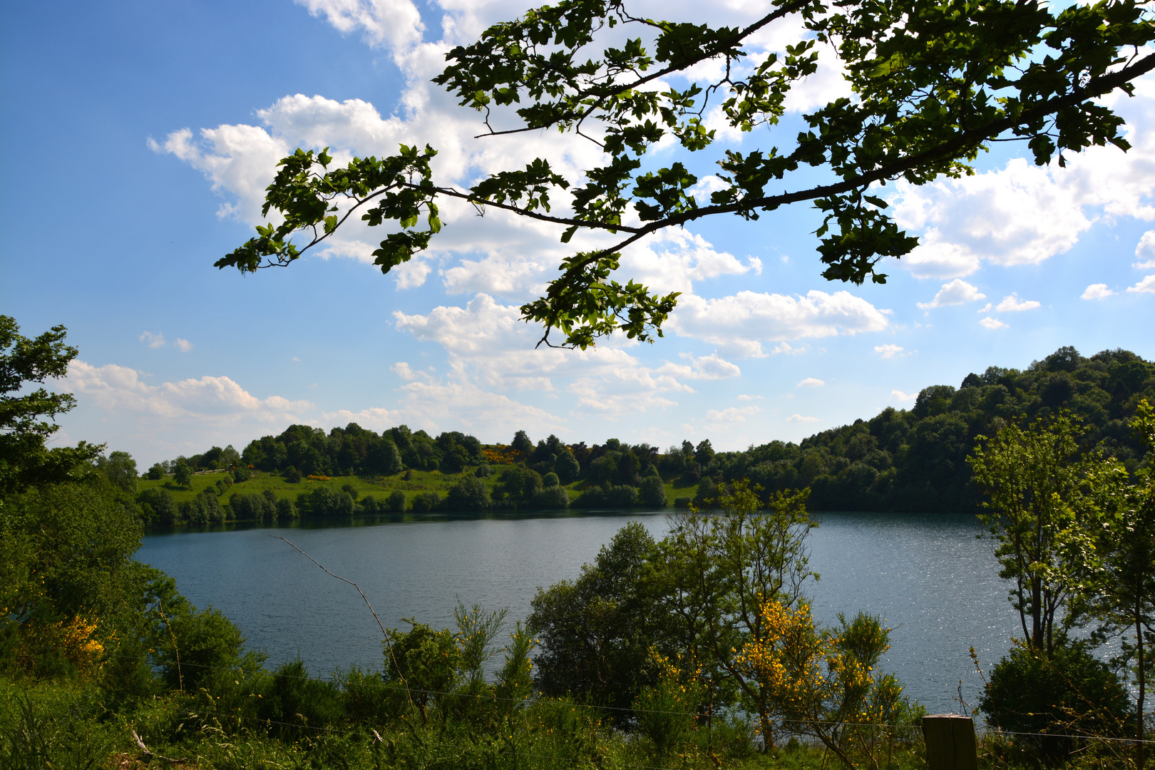 #...Weinfelder Maar ( Toten Maar)