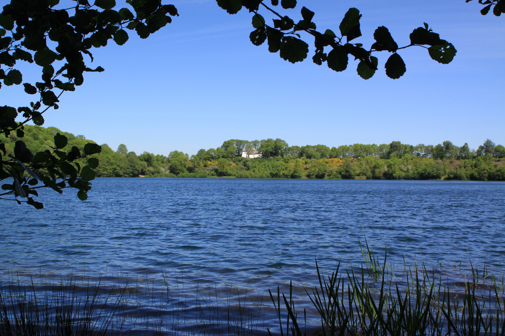 Weinfelder Maar (Totenmaar)