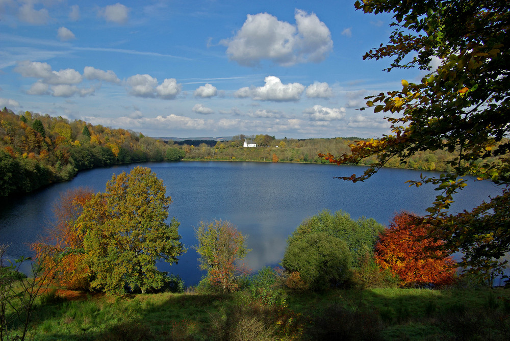 Weinfelder Maar (Totenmaar) -Eifel- (2)