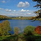 Weinfelder Maar (Totenmaar) -Eifel- (2)