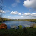 Weinfelder Maar (Totenmaar) -Eifel-