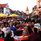 Weinfest Gengenbach