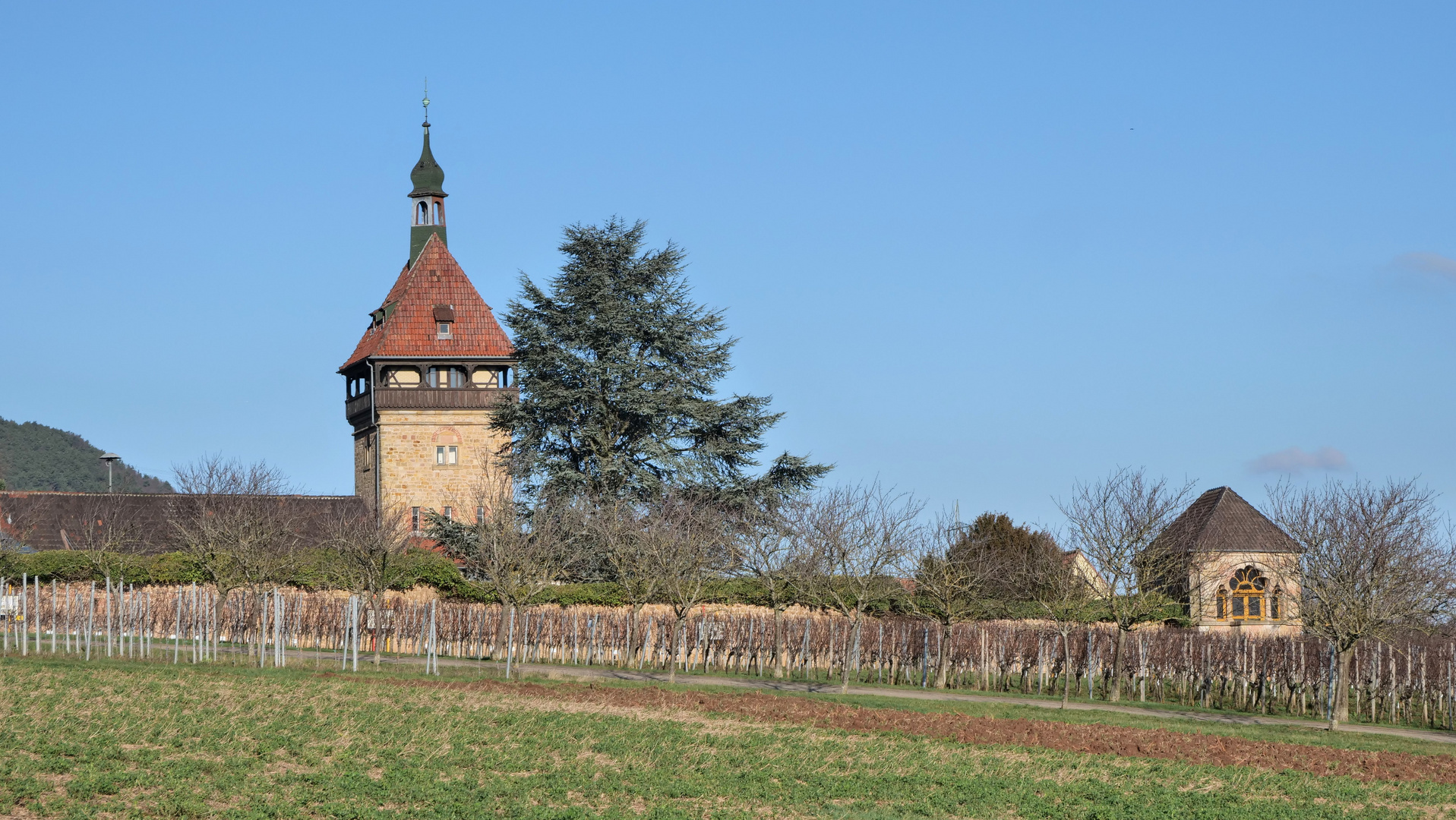 Weinforschungszentrum