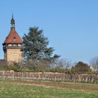 Weinforschungszentrum