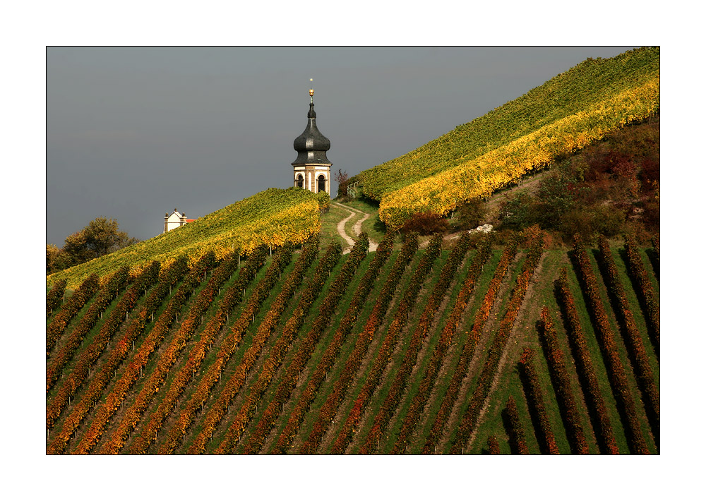 WEINfranken II