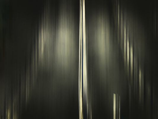 Weingarten - Abstraktion