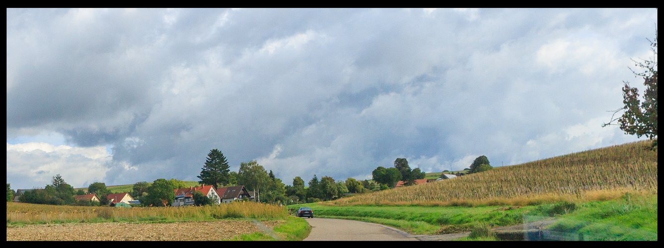 Weingarten Siedlung Sallenbusch