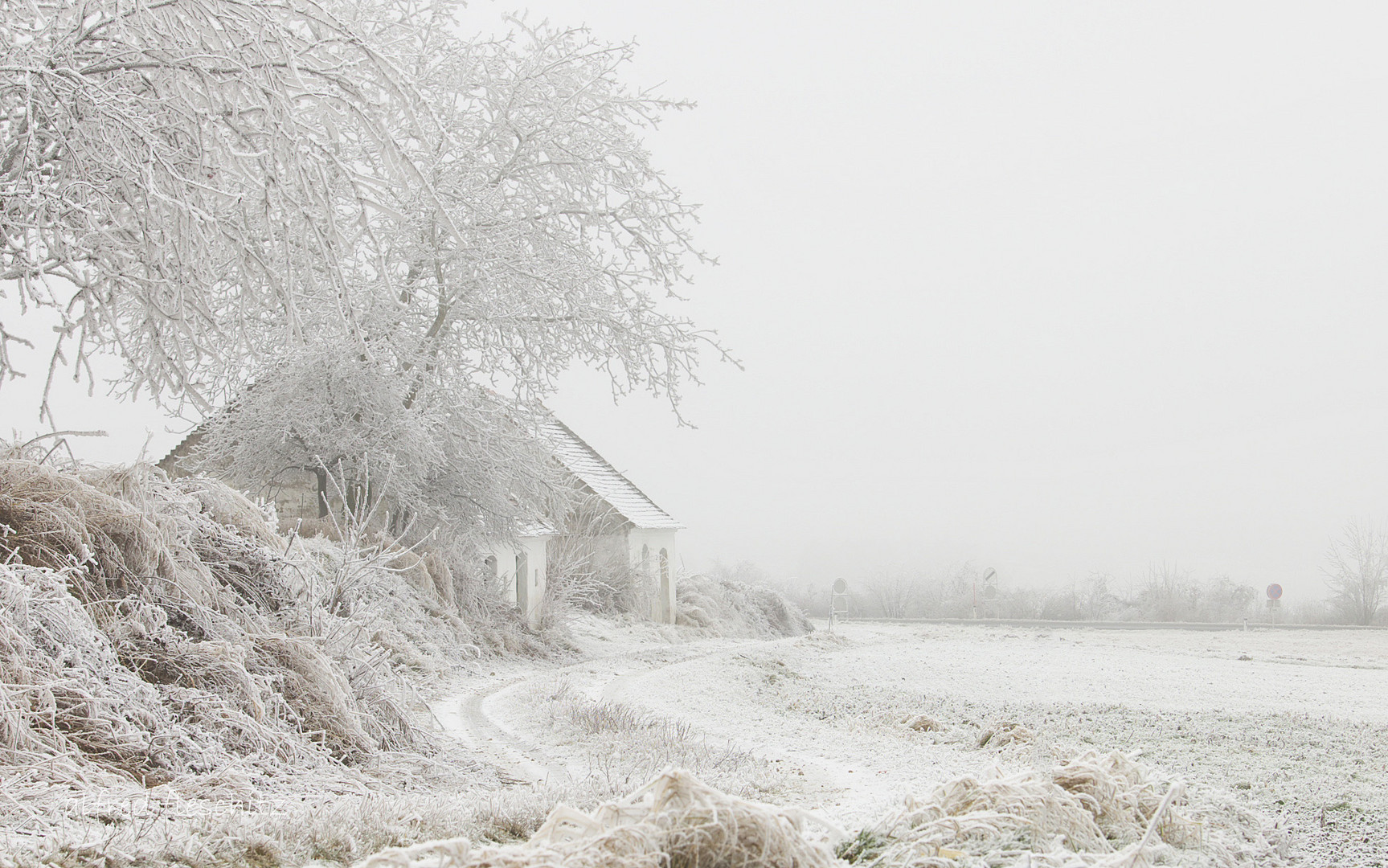 Weingarten Winter 2016 001a