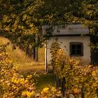 Weingartenhütte