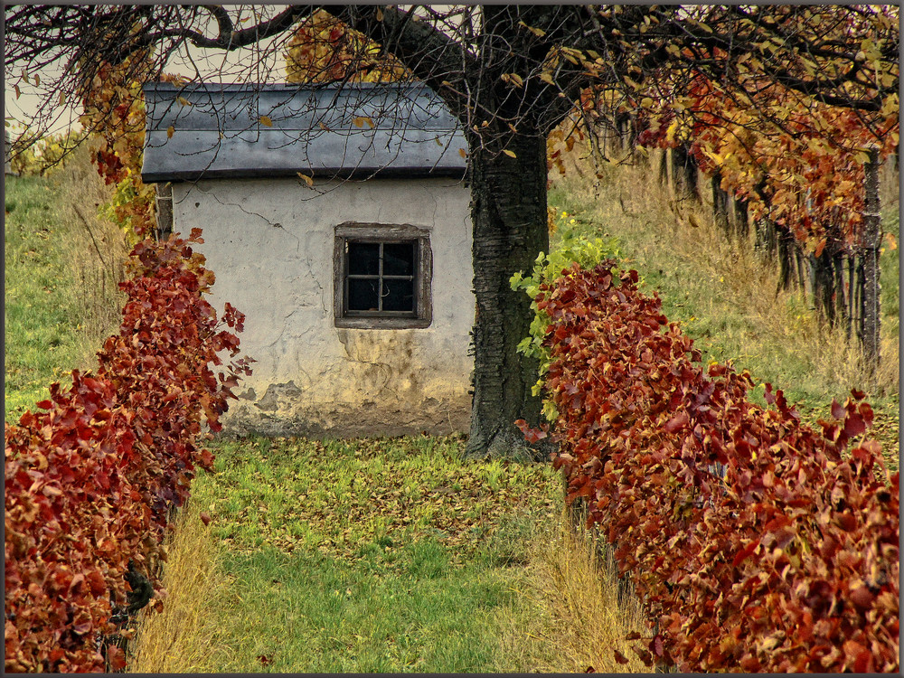 Weingartenhütte