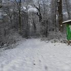 Weingartner Moor im Winter