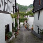 Weingasse in Burgen