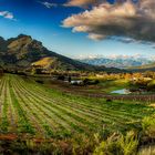 Weingebiet Stellenbosch, Süd-Afrika