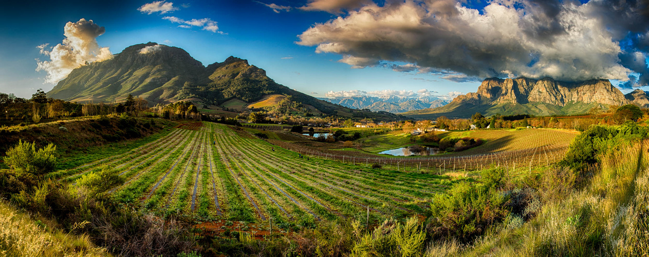 Weingebiet Stellenbosch, Süd-Afrika